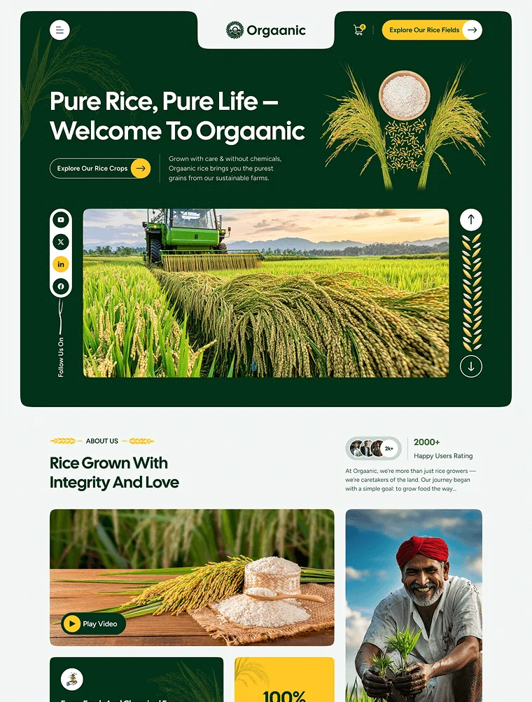 Rice Crops template website pertanian