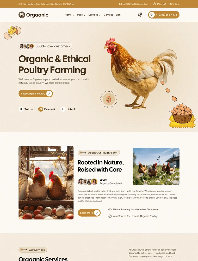 Poultry Farm template website pertanian