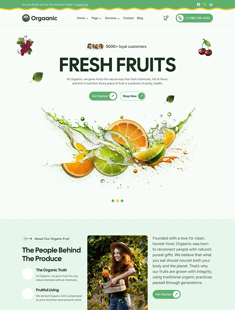 Organic Fruit template website pertanian