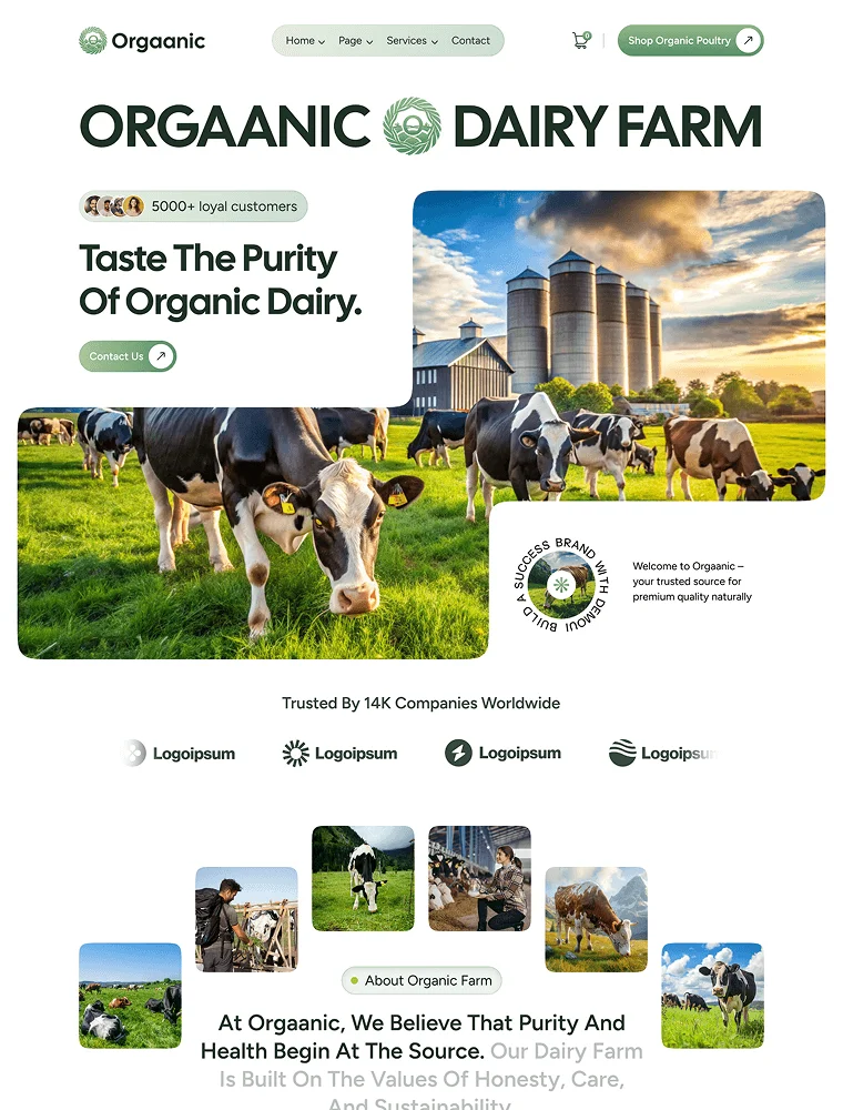 Dairy Farm template website pertanian